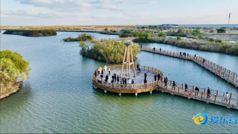 高诗岩冷静 高诗岩冷静