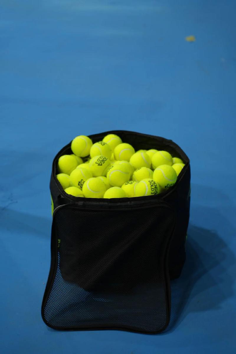 2025年CasinoRank洞察